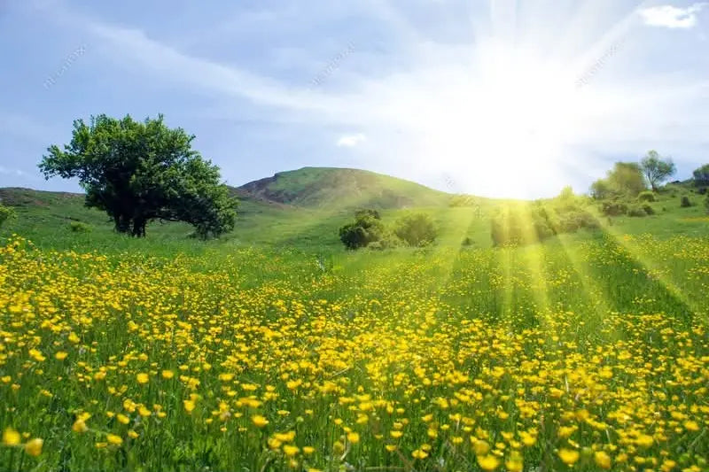 Sustainable Living – A Necessity of Today’s World